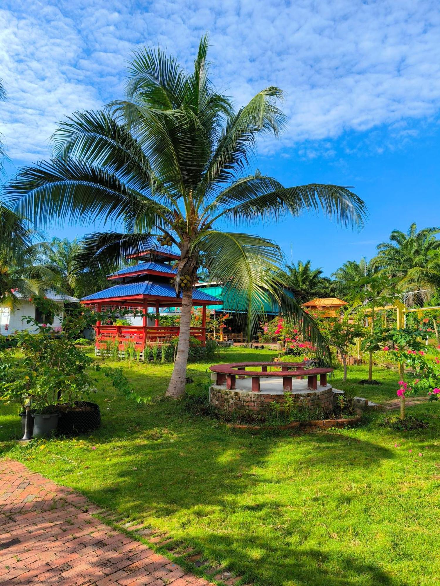 Shunde Palm Resort 仙本那顺德人家棕榈园 Buitenkant foto